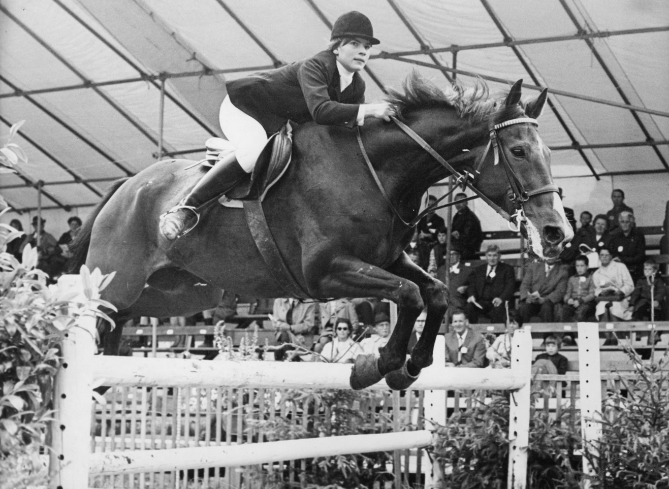 binderhof_team-brigitte_08191145_200-70