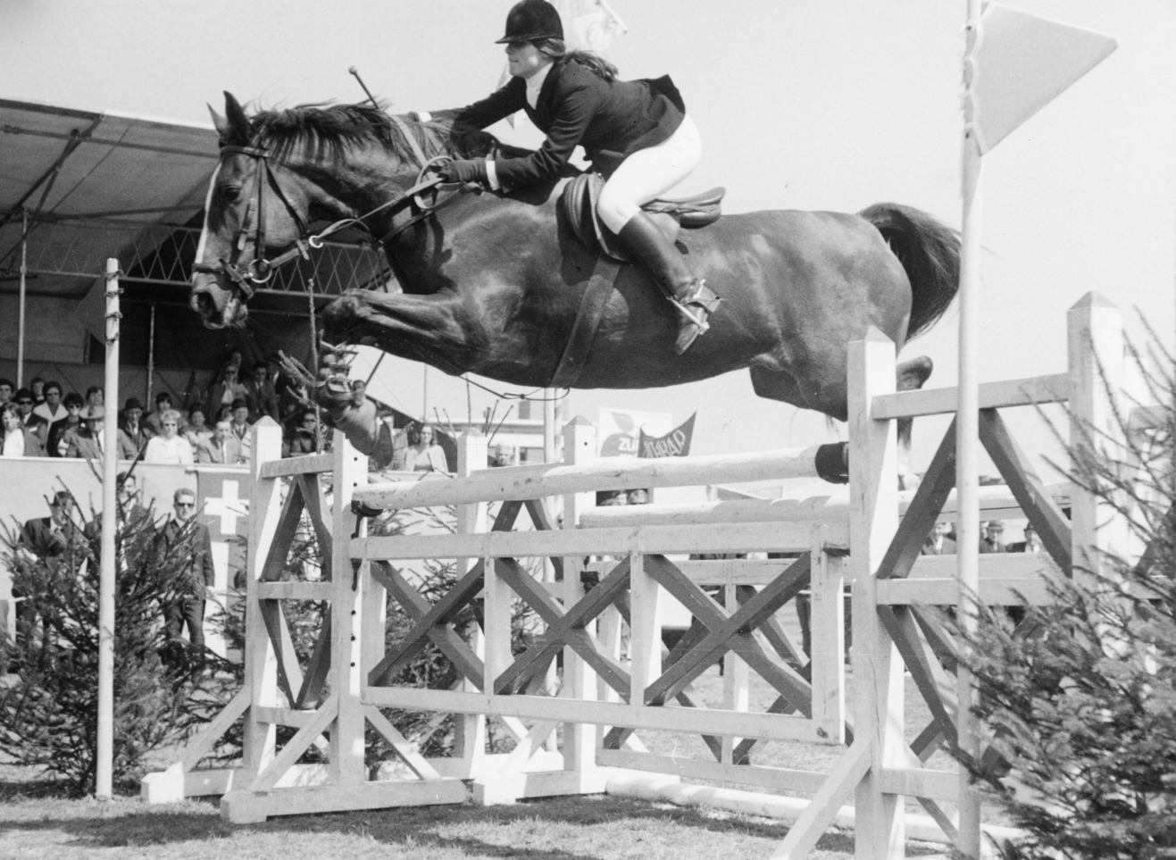 binderhof_team-brigitte_08221763_200-70