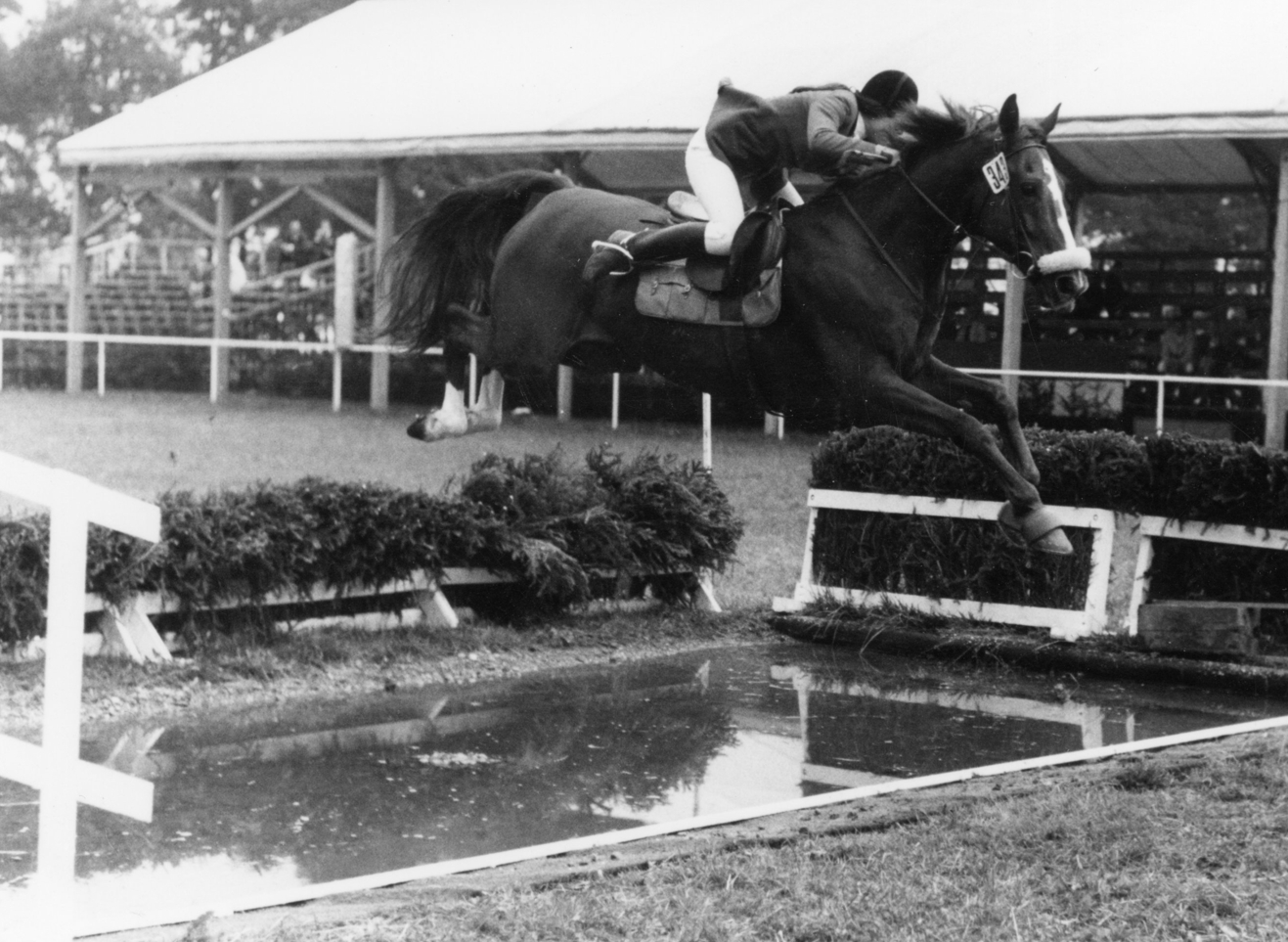 binderhof_team-brigitte_08233999_200-70