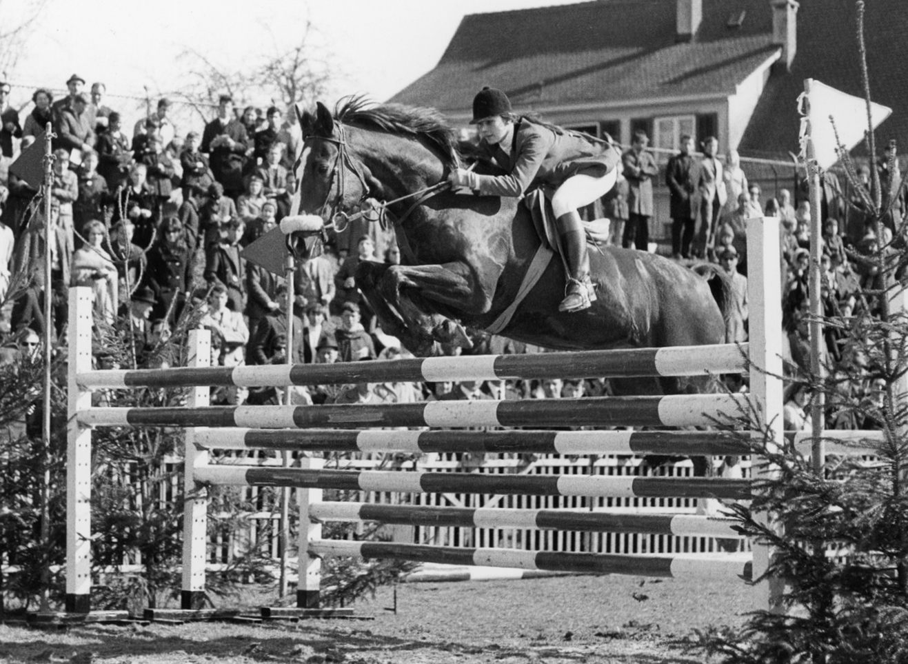 binderhof_team-brigitte_08261284_200-70