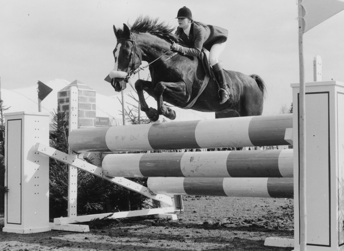 binderhof_team-brigitte_08272840_200-70