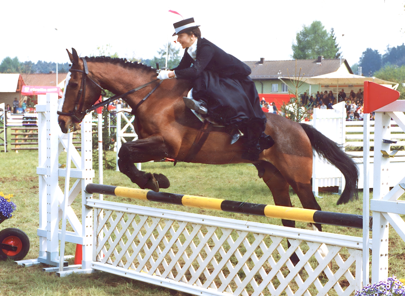 binderhof_team-brigitte_10194355_200-70