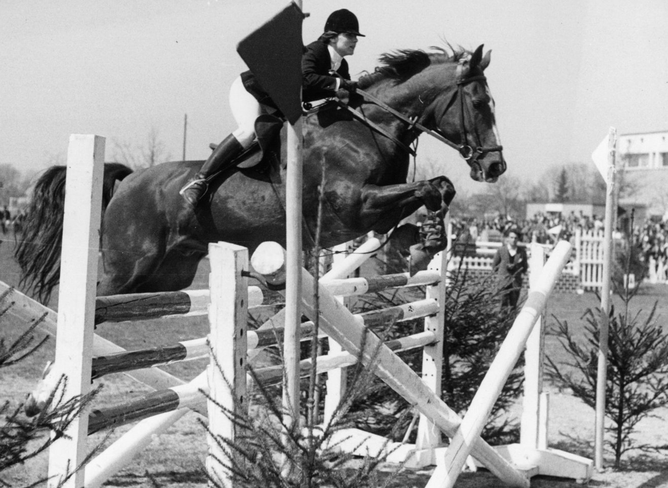 binderhof_team-brigitte_15183512_200-70