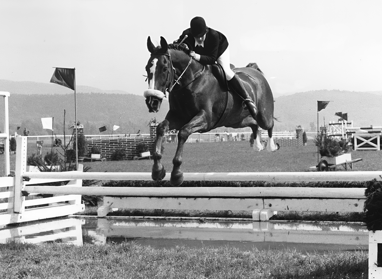 binderhof_team-brigitte_15422778_200-70